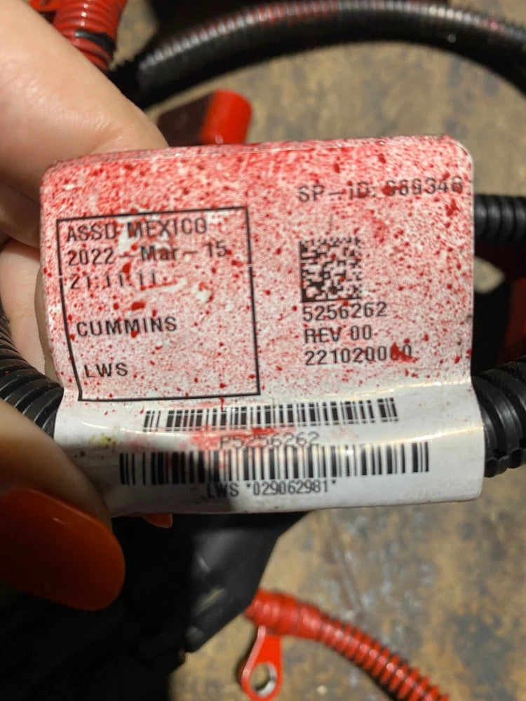 2021 Cummins B6.7L Diesel Engine Electronic Control Module Harness, 5689169