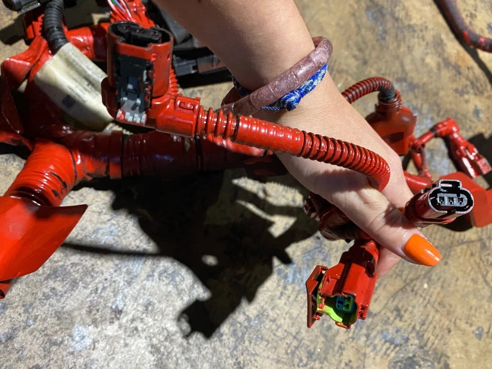 2021 Cummins B6.7L Diesel Engine Electronic Control Module Harness, 5689169