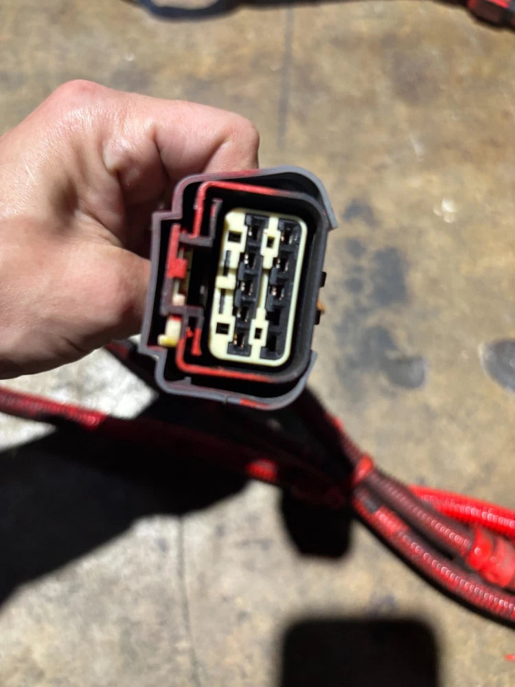 Cummins Electronic Control Module Wiring Harness 3689543