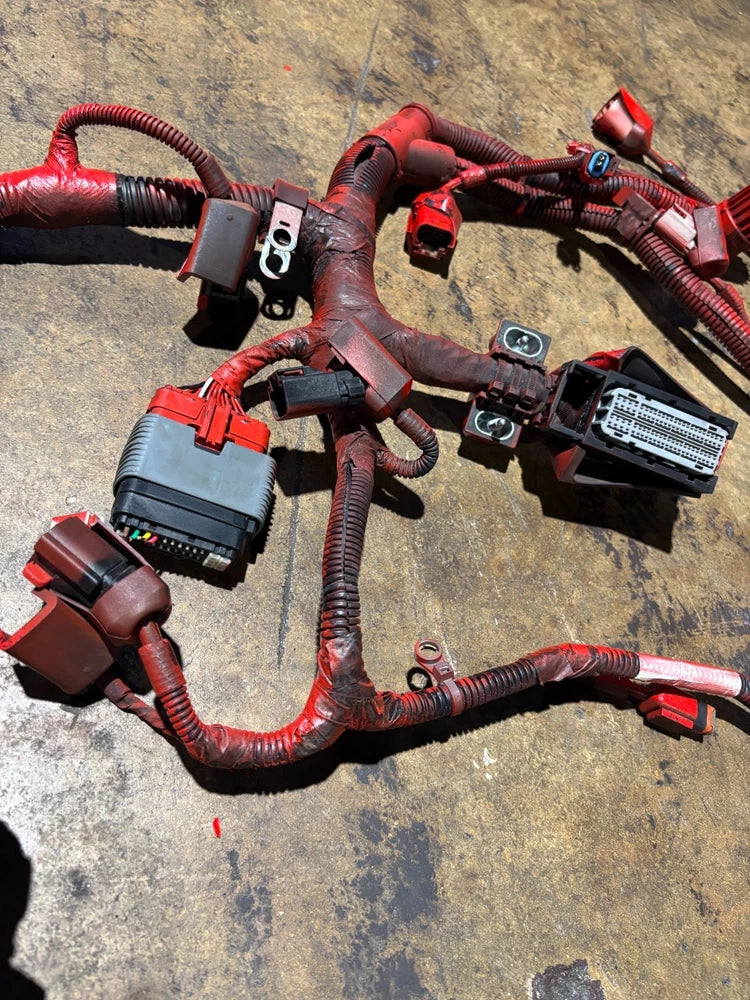 Cummins Electronic Control Module Wiring Harness 3689543