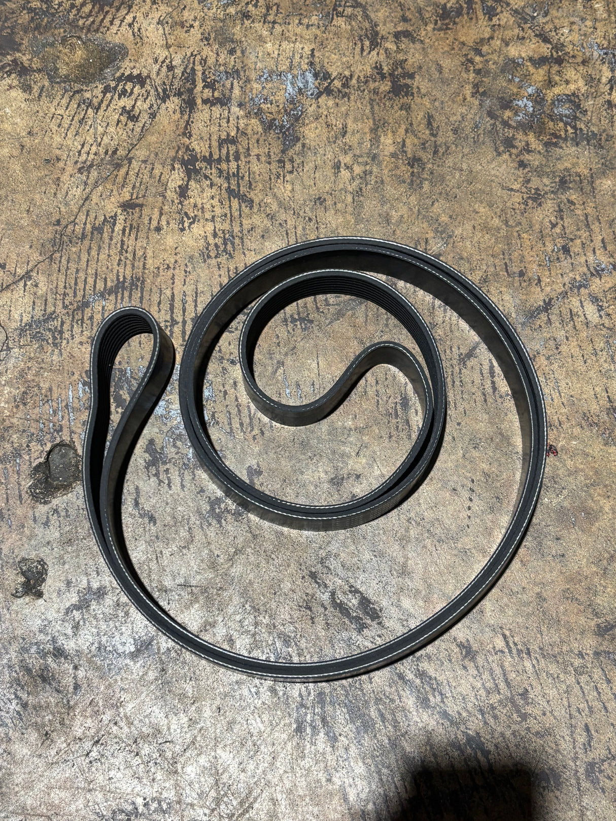 Cummins OEM V Ribbed Belt 4933072