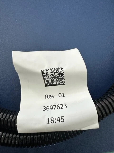 OEM Cummins Engine Wiring Harness, 3697623