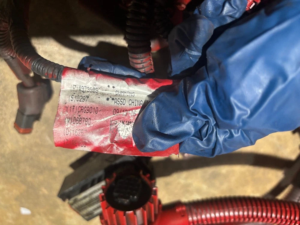 OEM Cummins ISX15 Diesel Engine Wiring Hiring 4373989