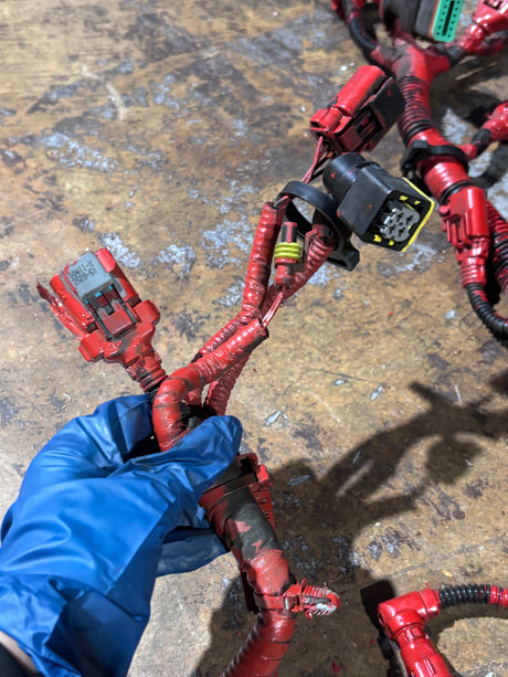 Cummins b6.7l electronic control module wiring harness 5589775 5689168