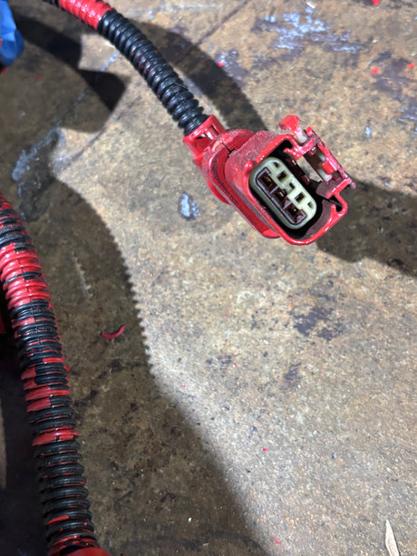 Cummins b6.7l electronic control module wiring harness 5589775 5689168