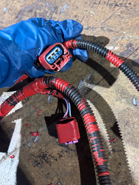 Cummins b6.7l electronic control module wiring harness 5589775 5689168