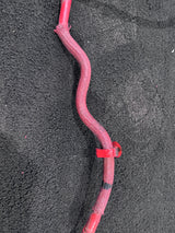 Cummins ISB QSB Fuel Drain Tube 5317100 5317167 5317102