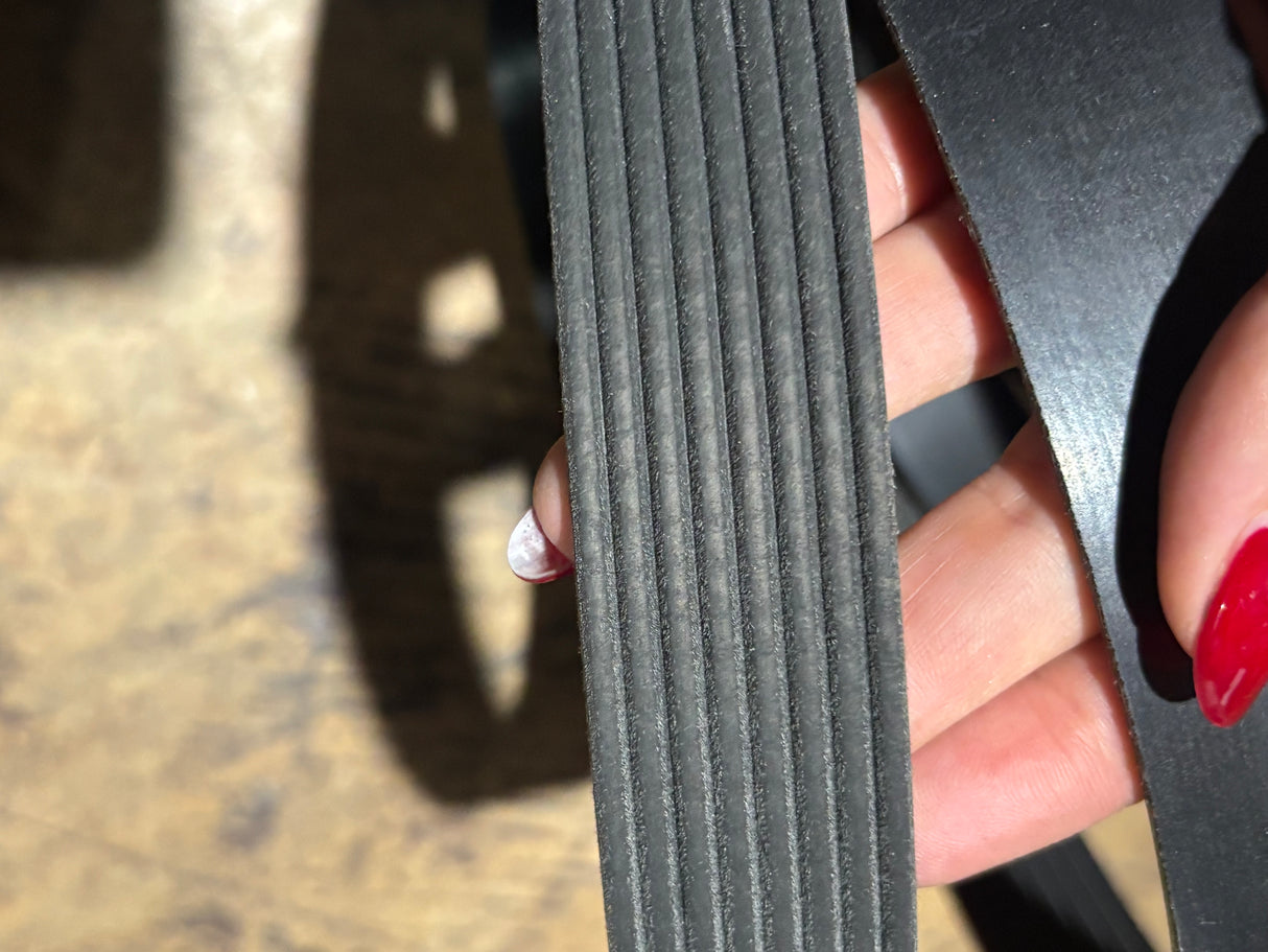 Cummins OEM V Ribbed Belt 4933072