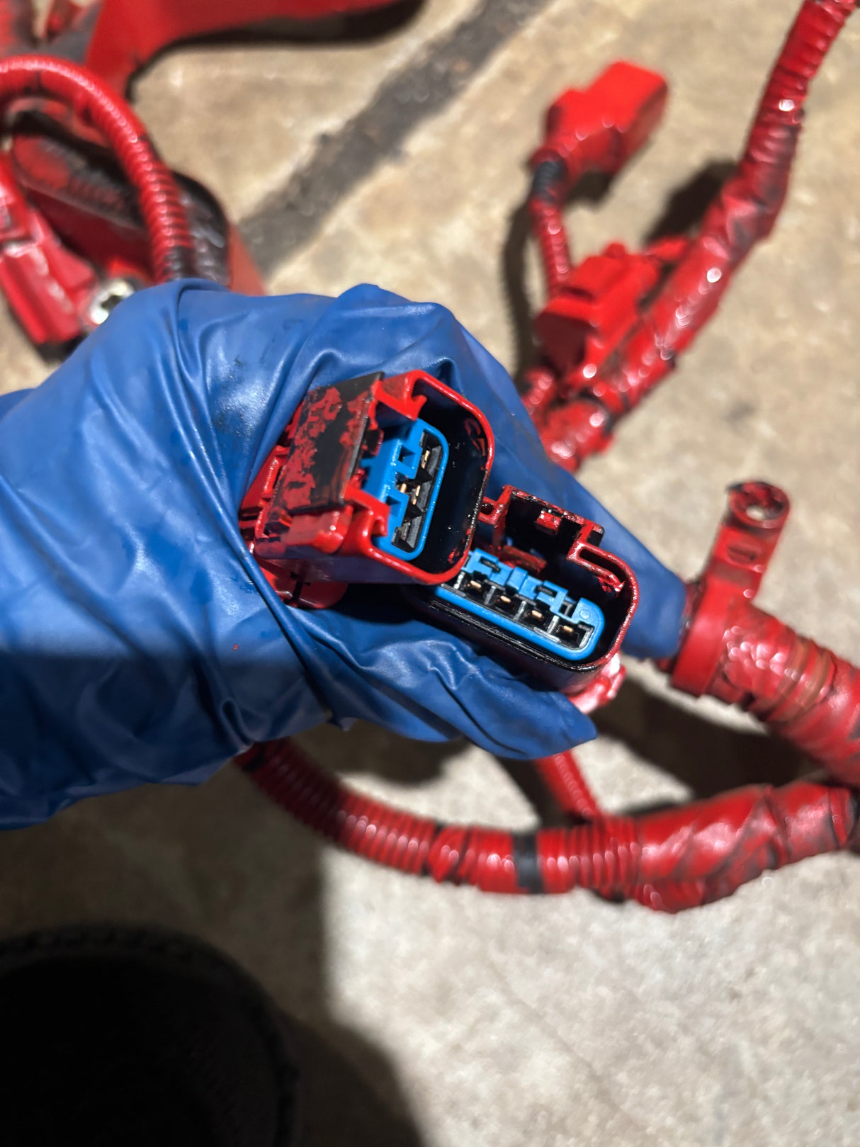 Cummins OEM ISB QSB 6.7L Diesel Engine Wiring Harness 6455668 6455651