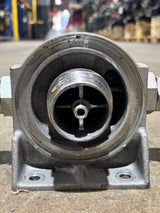 Cummins OEM Lubricating Oil Filter Head 3846568